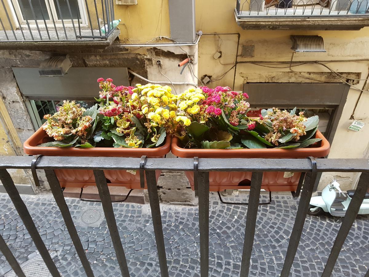 فيلا Casa Di Napoli المظهر الخارجي الصورة